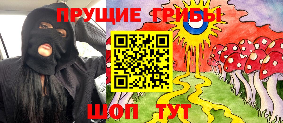 Псилоцибиновые грибы ЛСД Новоалександровск